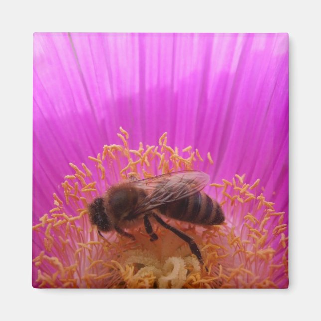Imã Bee Magnet (Frente)
