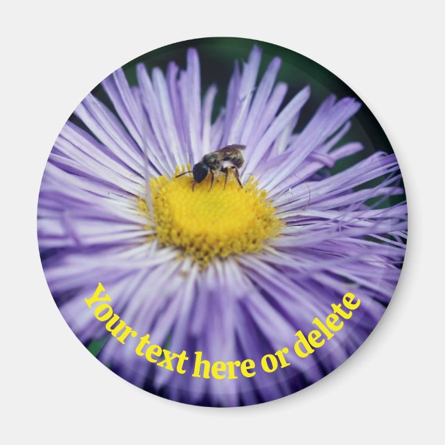 Imã Bee On Purple Daisy Flower Personalized (Frente)
