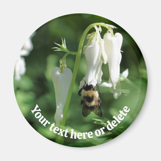 Imã Bee On White Columbine Flower Personalized (Frente)