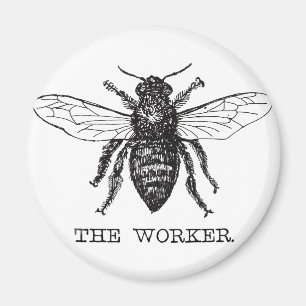 Imã Bee Worker Honey Black Bumblebee