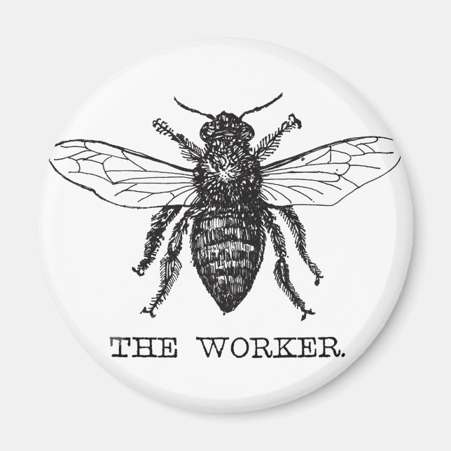 Imã Bee Worker Honey Black Bumblebee (Frente)