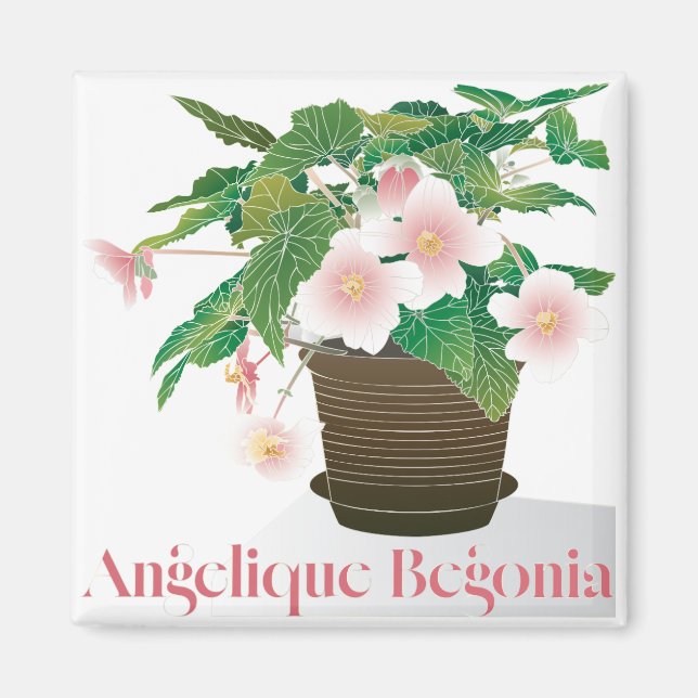 Imã Begônia Magnet (Frente)