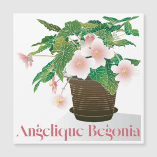 Ímã Begônia Plana