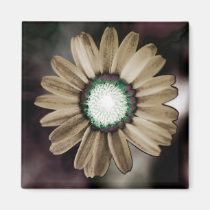 Imã Beige Rustic Daisy Magnet