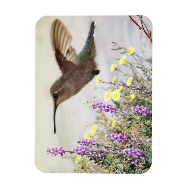 Ímã Beija-flor e Flores Silvestres Arte Digital  (Vertical)