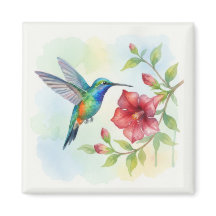 Beija-flor Pequeno Aquarela