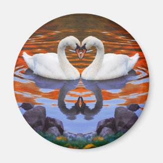 Imã Beijar Cisnes no Amor, Pescoços em Forma de Coraçã