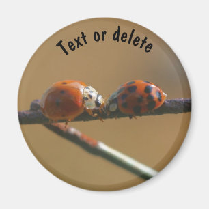 Imã Beijar Ladybugs Natureza Personalizada