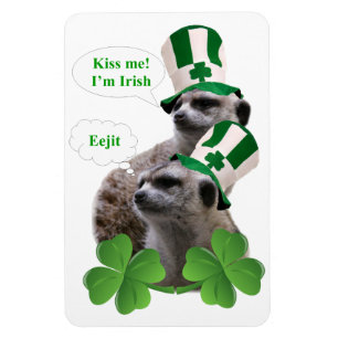 Ímã Beije-me, sou um design irlandês de meerkat