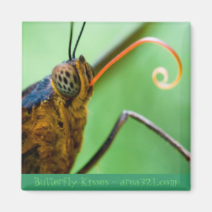 Imã Beijos da borboleta