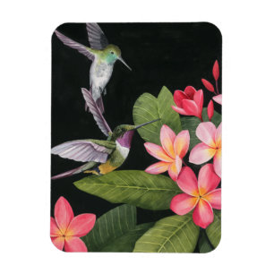 Ímã Beijos da Plumeria