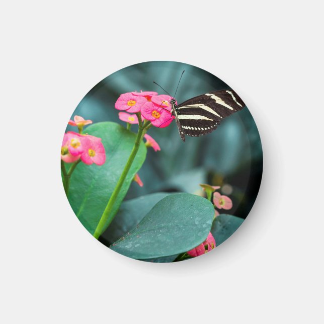 Imã Bela borboleta em uma flor rosa (Frente)