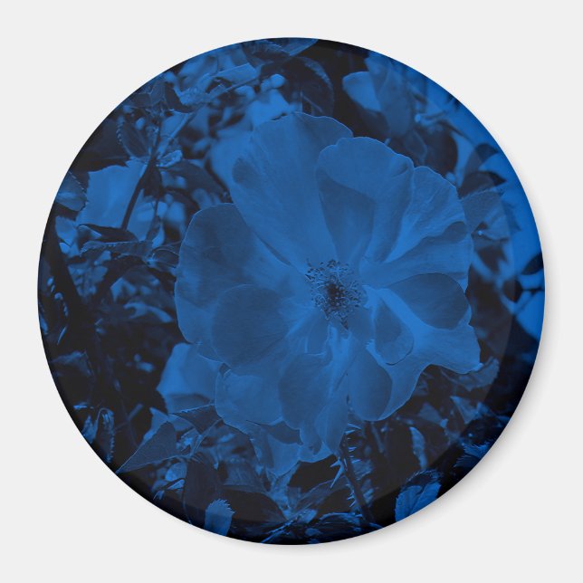 Imã Bela Noite.... (Frente)