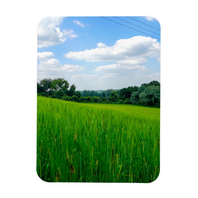 Ímã Bela paisagem (Vertical)