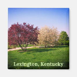 Imã Bela Paisagem e Árvores de Kentucky