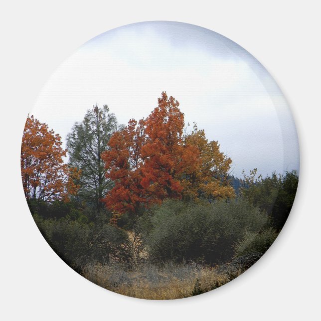 Imã Bela queda.... (Frente)