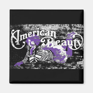 Imã beleza americana