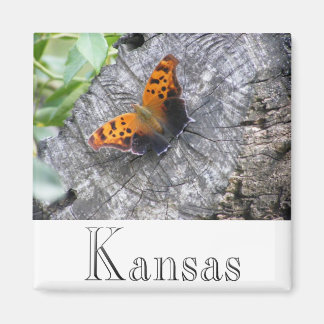 Imã Beleza Batelada