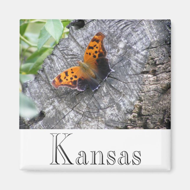 Imã Beleza Batelada (Frente)