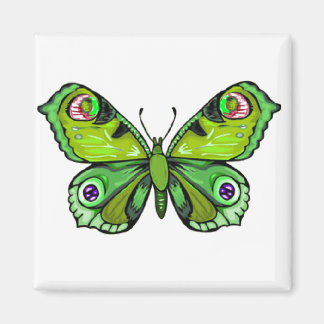 Imã Beleza Colorida 3