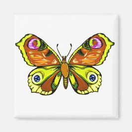 Imã Beleza Colorida 5