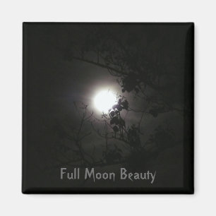 Imã Beleza da Lua cheia