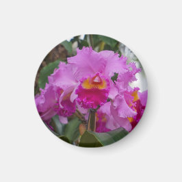 Imã Beleza de Orquídea