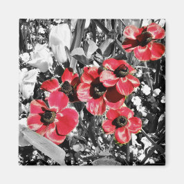 Imã Beleza Seletiva - Anemone Blossoms Magnet