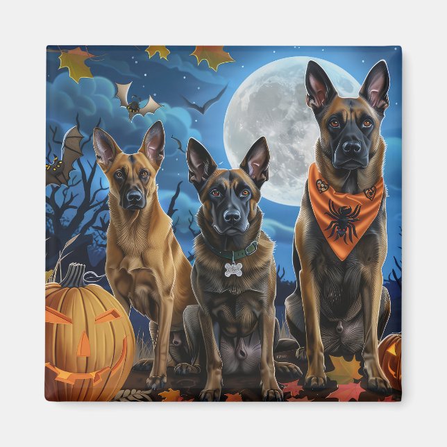 Imã Belga Malinoi Halloween Spooky (Frente)