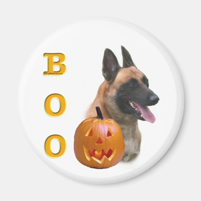 Imã Belga Malinois Boo (Frente)