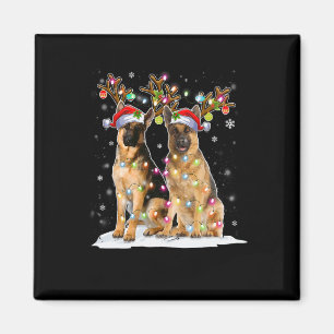 Imã Belga Malinois Reindeer Hat Papais noeis