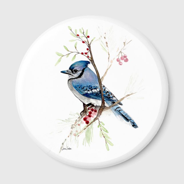 Imã Belíssima Aquarela de um Azulão (Beautiful Blue Jay Watercolor Magnet by Jenn Steffen Art.)