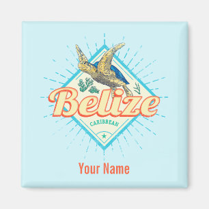 Imã Belize Caribe Tartaruga Retroativa Vintage Souveni
