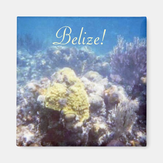 Imã Belize! Magneta de recife de coral (Frente)