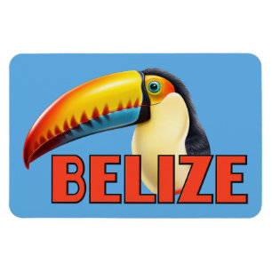 Ímã BELIZE Toucan