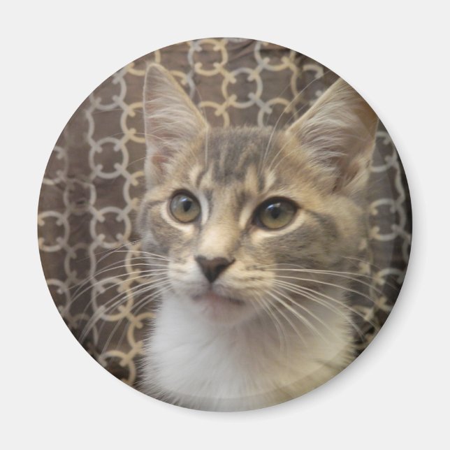 Imã Bella Magnet (Frente)