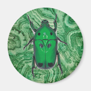 Imã Belo Besouro Verde No Malachite