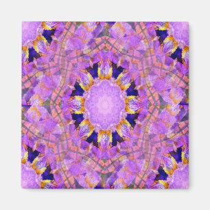 Imã Belo Bloom.....