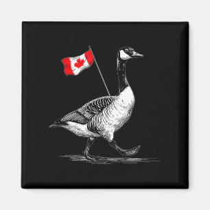 Imã Belo Canadá Animal Com Bandeira Para Alas De Ganso