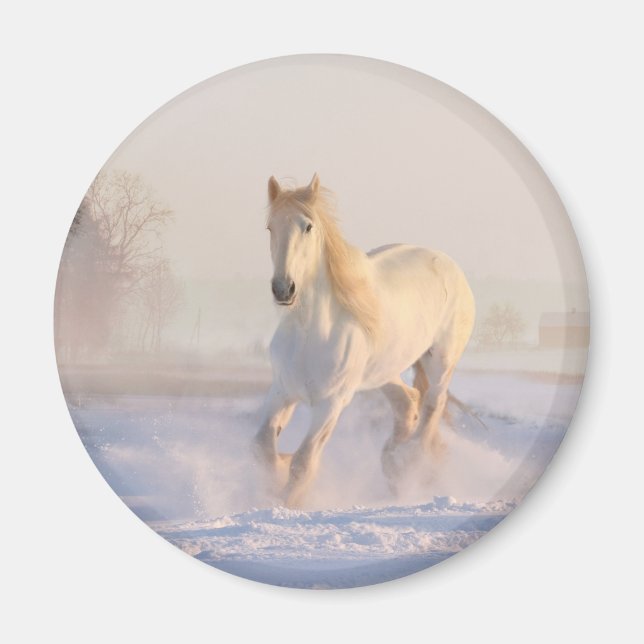 Imã Belo Cavalo Branco Galopando na Neve (Frente)