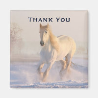 Belo Cavalo Branco na Foto da Neve Obrigado