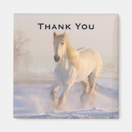 Imã Belo Cavalo Branco na Foto da Neve Obrigado