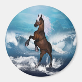 Imã Belo cavalo com