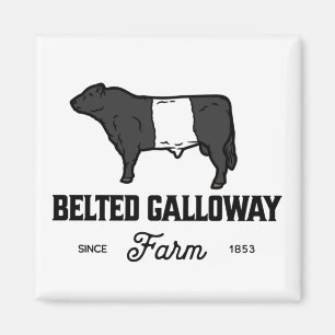 Imã Belo crachá redondo de vaca galloway cinza ou desi