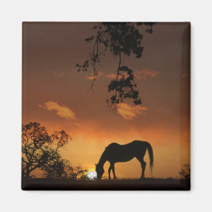 Imã Belo Dia do Sol com Cavalo