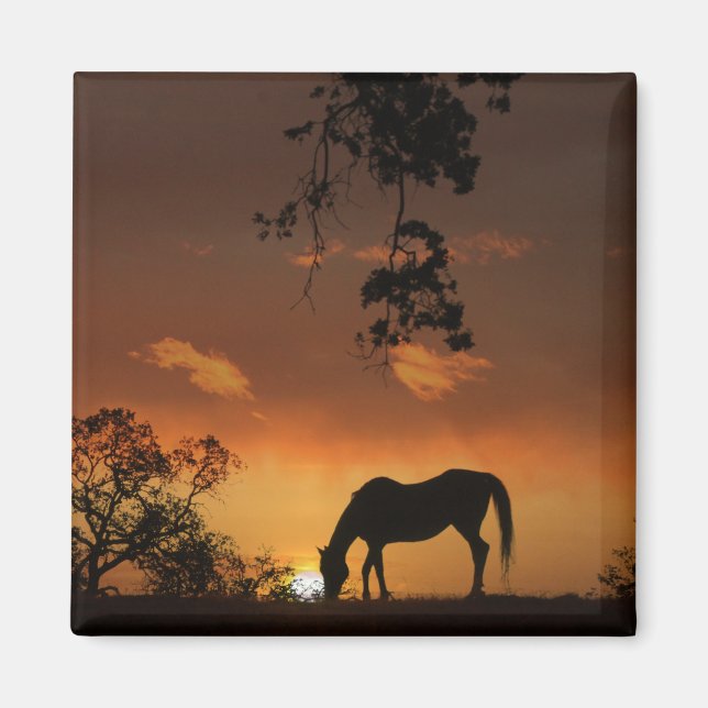 Imã Belo Dia do Sol com Cavalo (Frente)