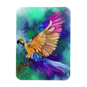 Ímã Belo e Colorido Magneta de Papagaio