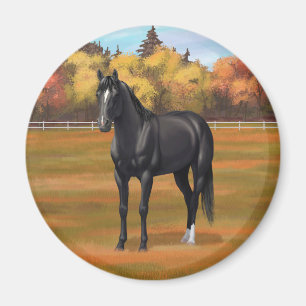 Imã Belo Estalão de Cavalo do Quarto Negro