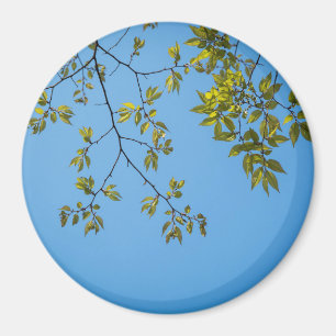 Imã belo galho com abraço verde e amarelo