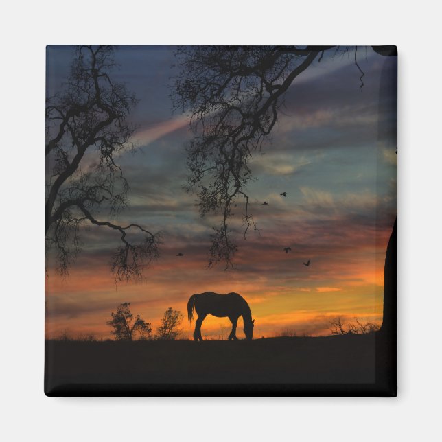 Imã Belo ímã do sudoeste (Frente)